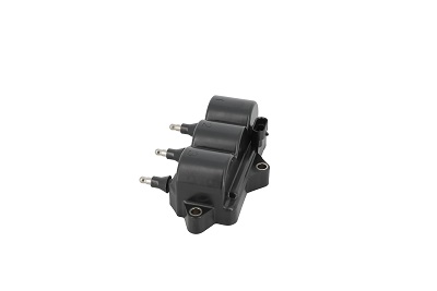 Picture of Ignition Coil - BorgWarner (BERU) - ZS539